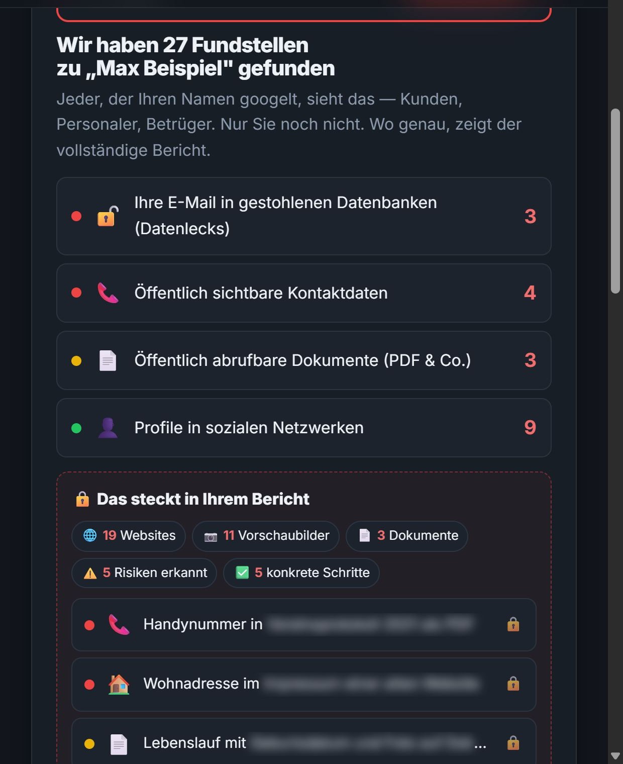 Selbstcheck-Vorschau mit Anzahl und Schweregrad der Funde